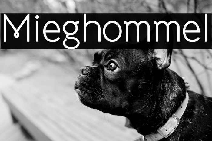 Mieghommel Example 2