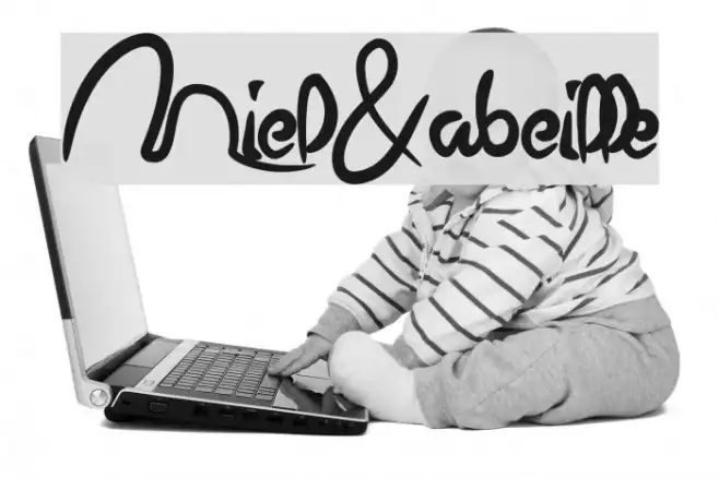 Miel&abeille Example 2