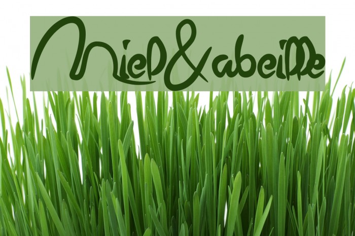 Miel&abeille Font examples