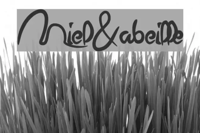 Miel&abeille Example 3