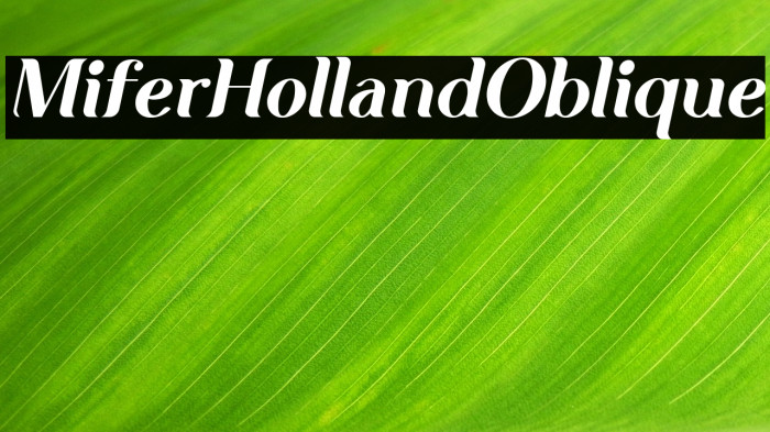 Mifer Holland Oblique Example 1