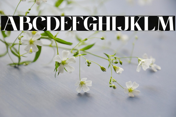 Miftah Personal Use Example 2