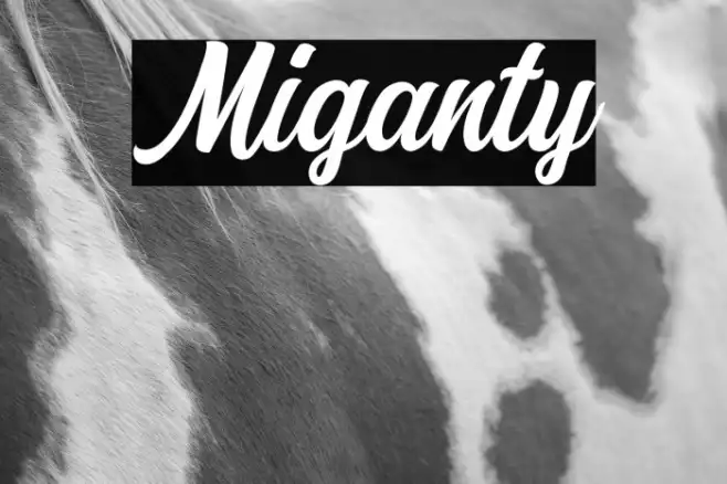 Miganty Example 3