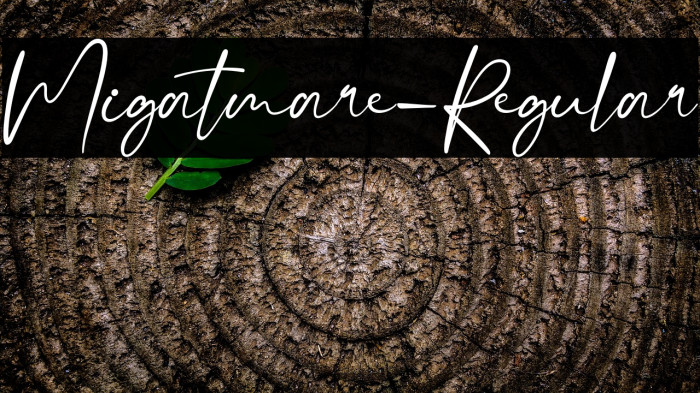 Migatmare-Regular Example 2