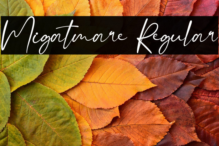 Migatmare Regular Example 1