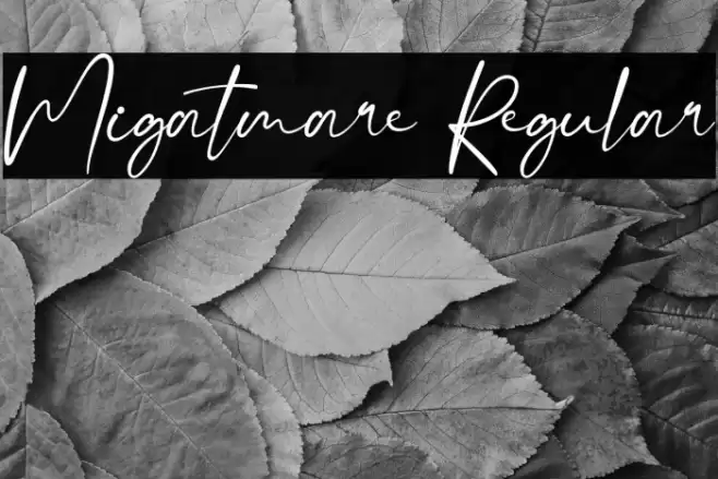 Migatmare Regular Font examples