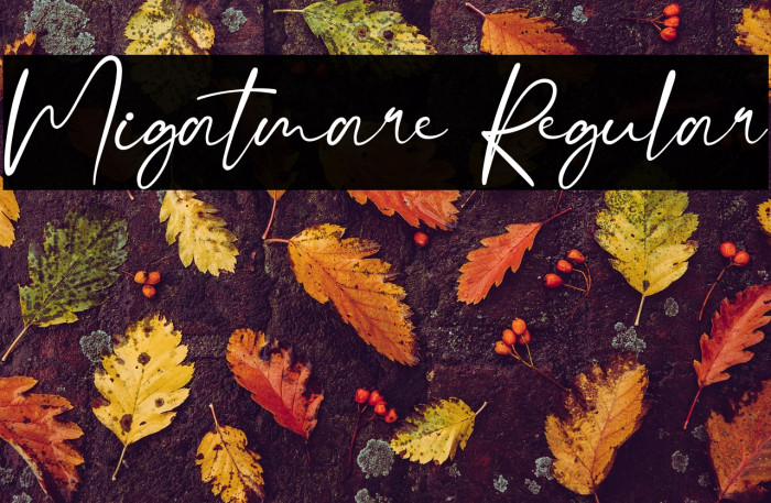 Migatmare Regular Example 3
