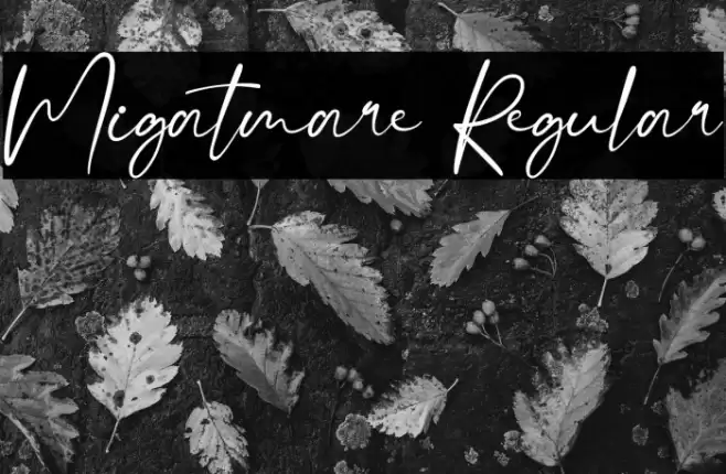 Migatmare Regular Font examples