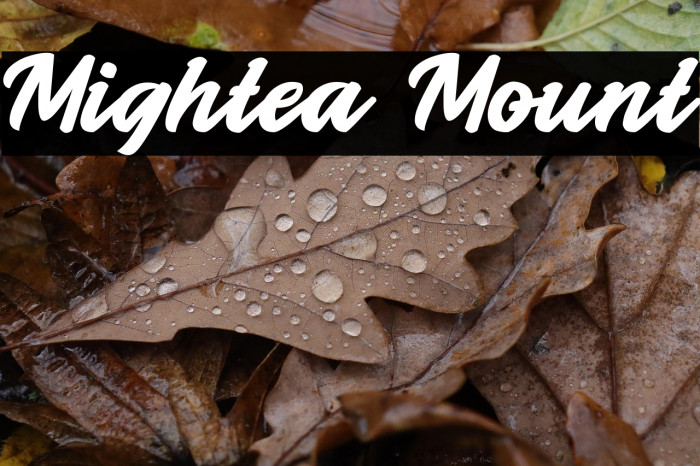 Mightea Mount Example 3