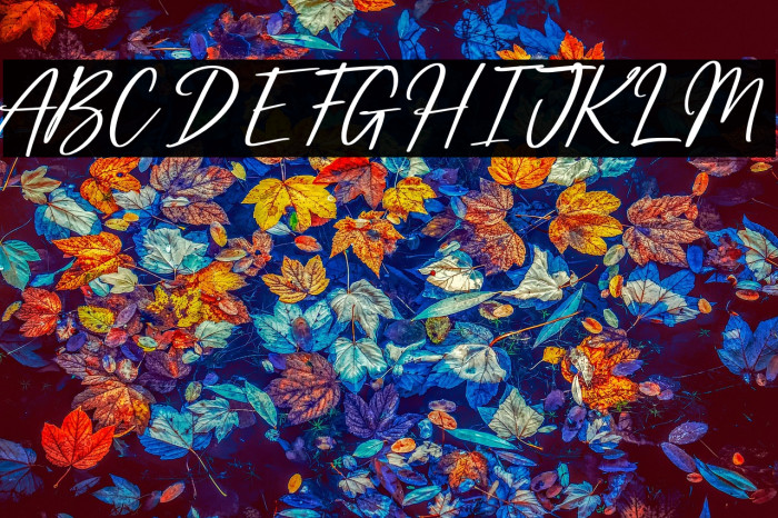 Mightiest Autograph Personal Us Example 1