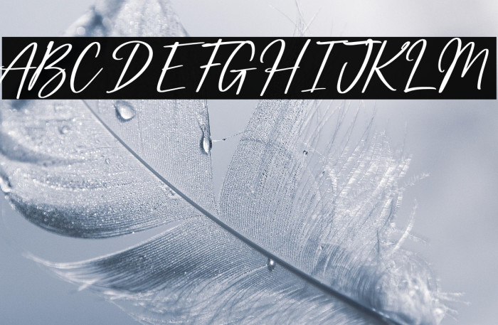 Mightiest Autograph Personal Us Example 2