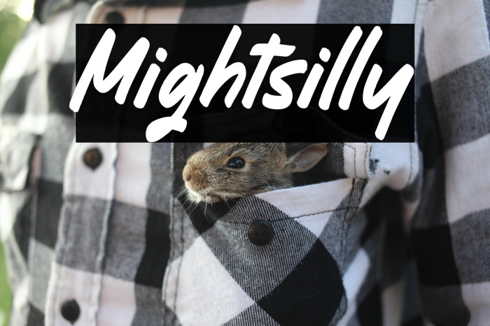 Mightsilly Example 2