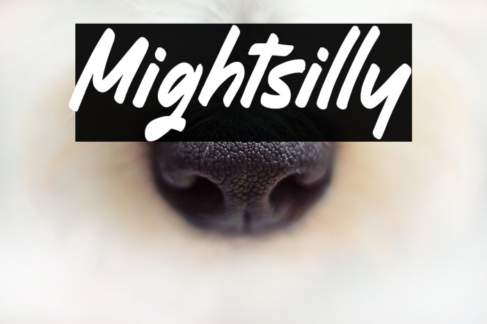 Mightsilly Example 3