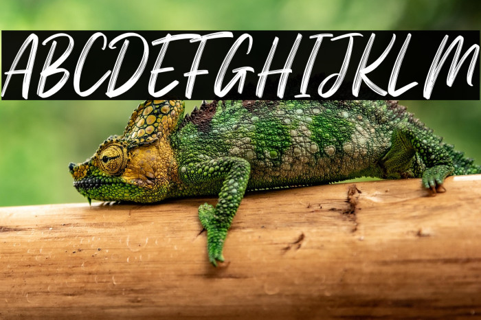 Mightwell Personal Use Example 1