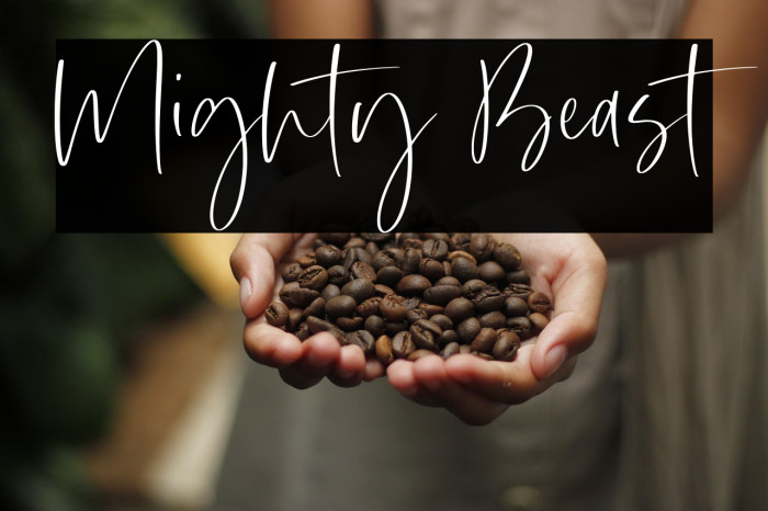 Mighty Beast Example 3