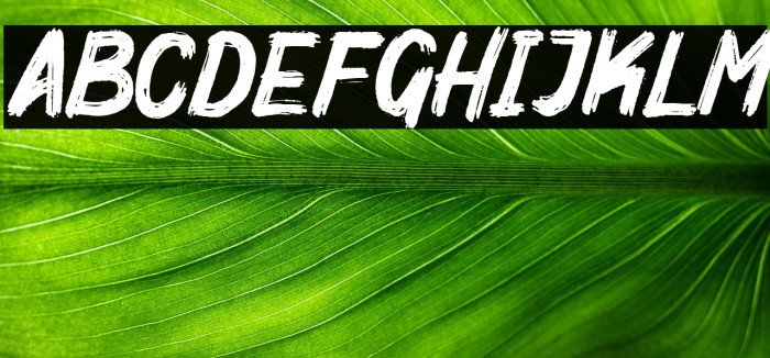 Mighty Brush Example 1