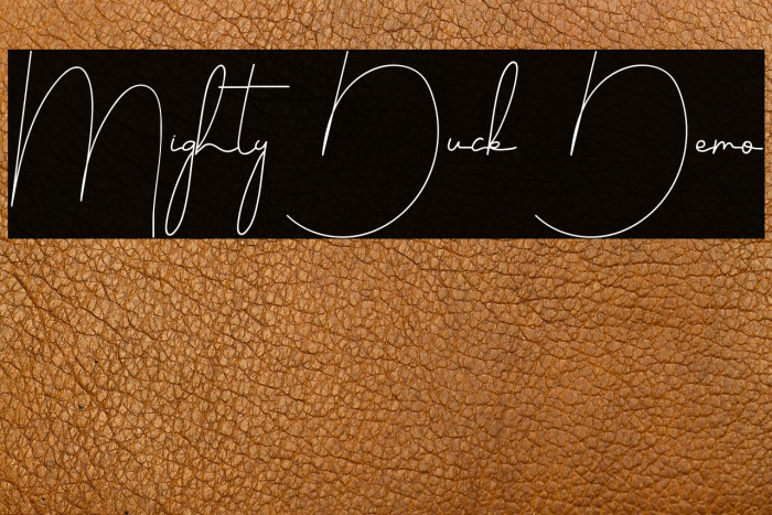 Mighty Duck Demo Example 3