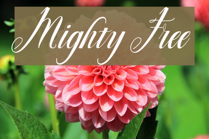 Mighty Free Font examples