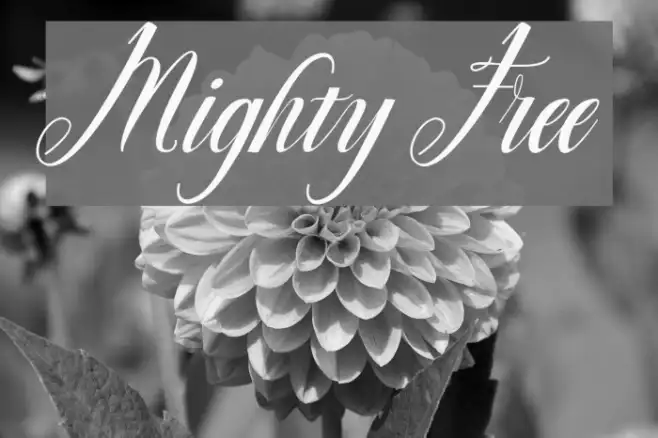 Mighty Free Example 3