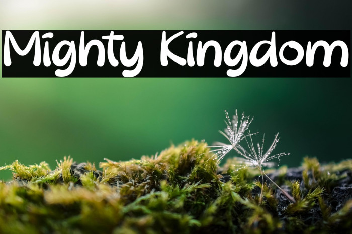 Mighty Kingdom Example 3