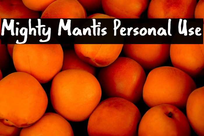 Mighty Mantis Personal Use Example 1