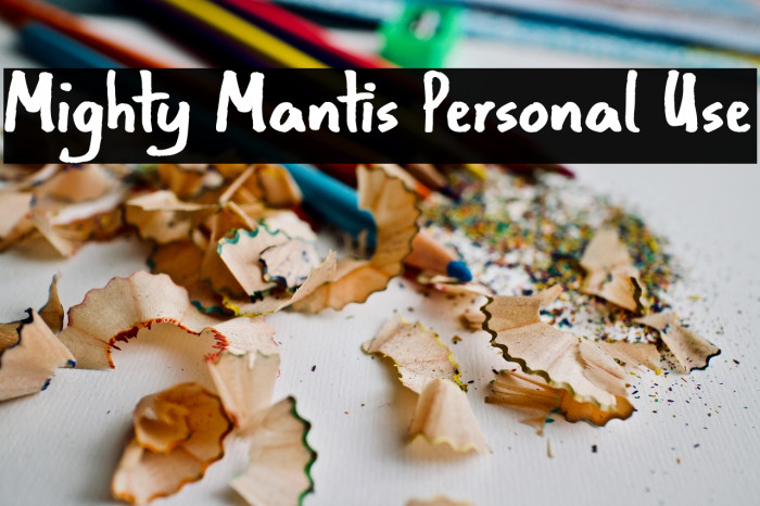 Mighty Mantis Personal Use Example 2