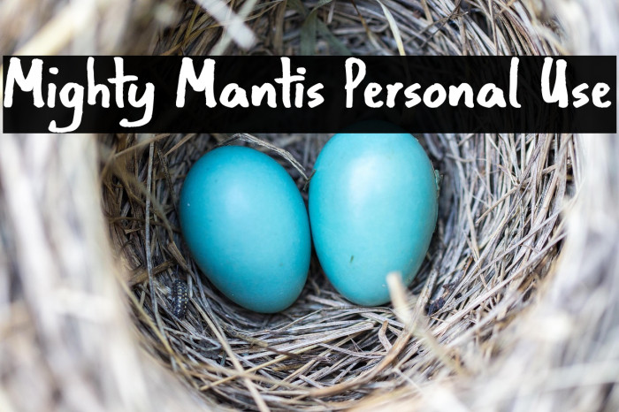 Mighty Mantis Personal Use Example 3