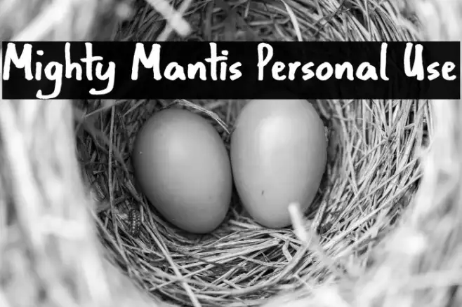 Mighty Mantis Personal Use Example 3
