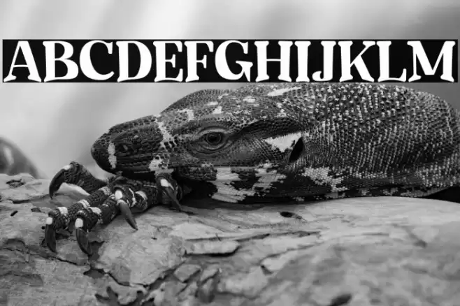 Mighty Party Personal Use Font examples