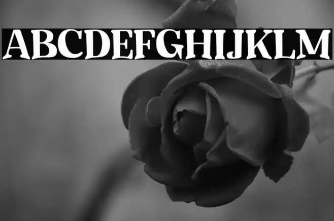 Mighty Party Personal Use Font examples