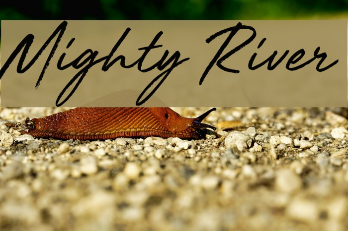 Mighty River Font examples
