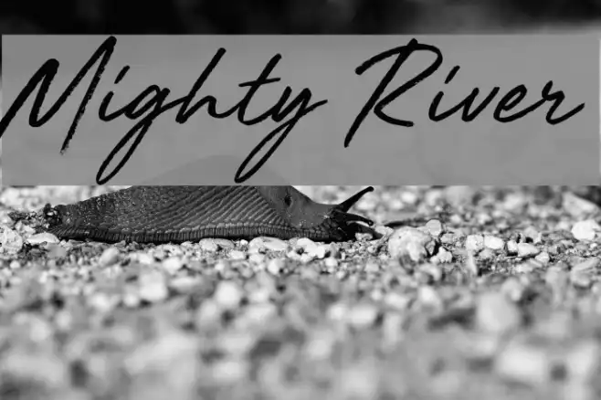 Mighty River Example 2