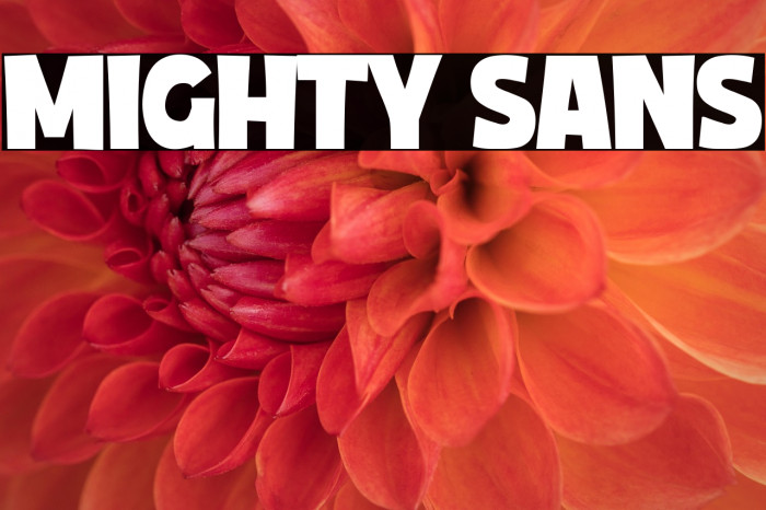 Mighty Sans Example 1