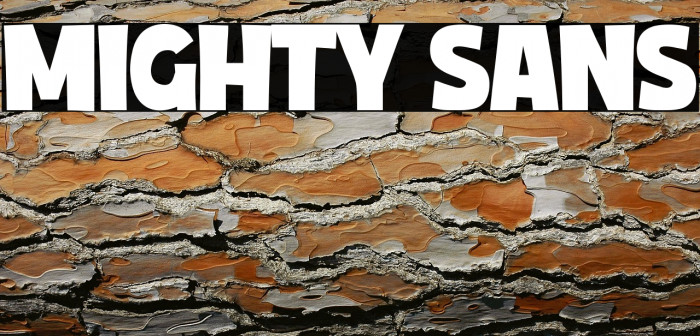 Mighty Sans Example 2
