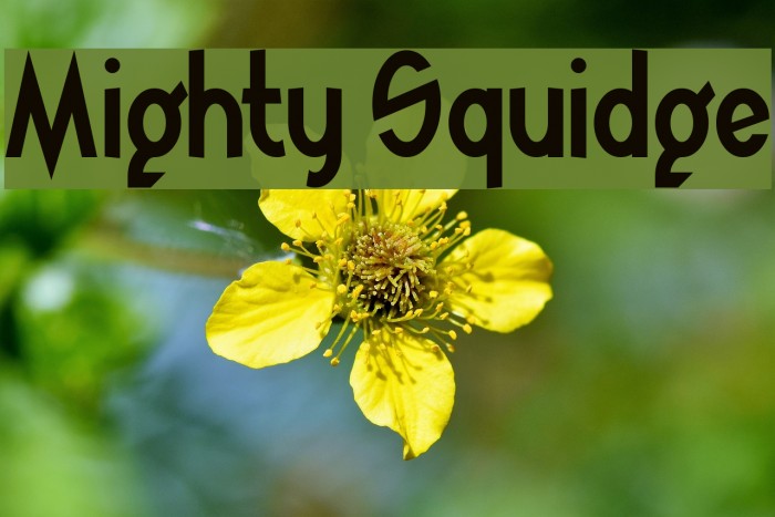 Mighty Squidge Example 2