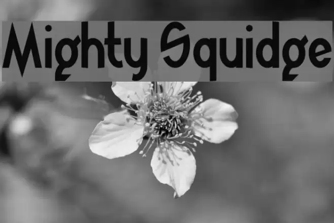 Mighty Squidge Font examples