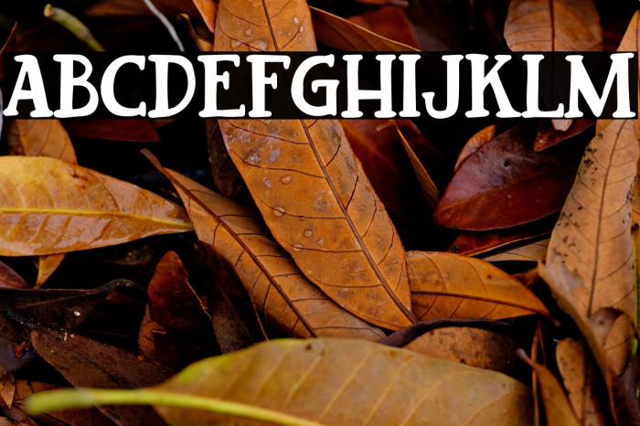 Mighty Star Free Trial Example 1