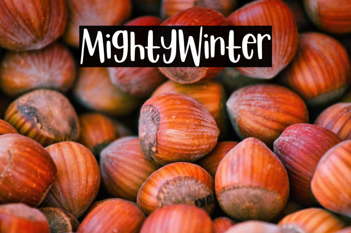 Mighty Winter Example 3