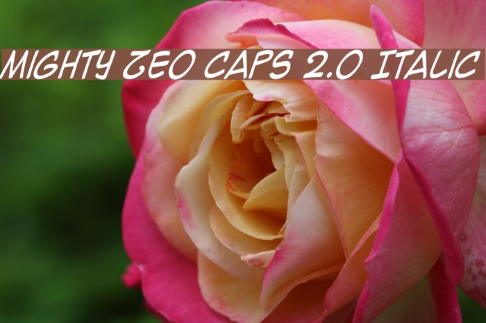 Mighty Zeo Caps 2.0 Italic Fonte examples