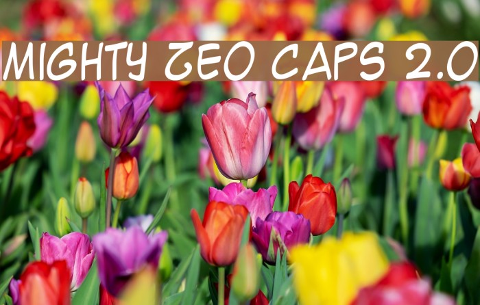 Mighty Zeo Caps 2.0 Font examples
