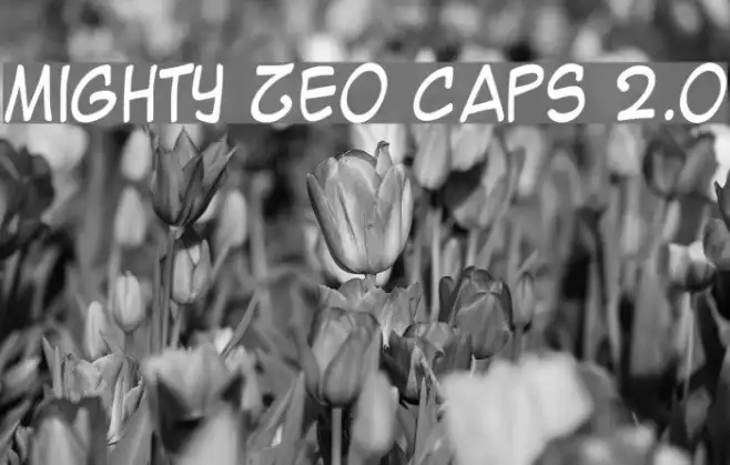 Mighty Zeo Caps 2.0 Example 2