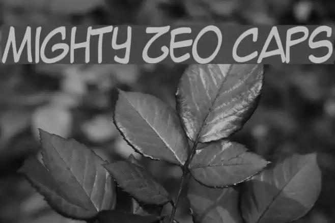 Mighty Zeo Caps Font examples