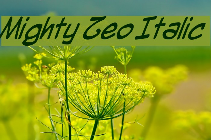 Mighty Zeo Italic Font examples