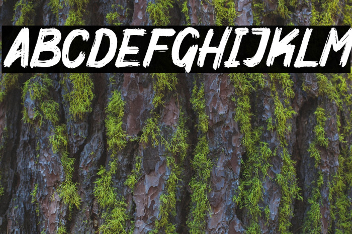 MightyBrush Font examples