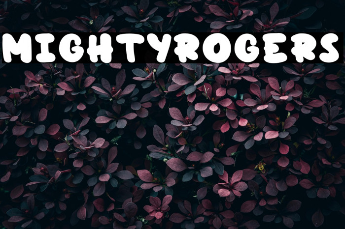 MightyRogers Example 2