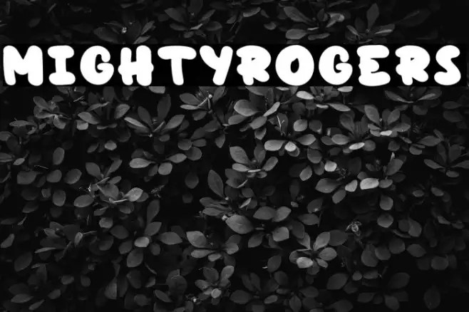 MightyRogers Example 2
