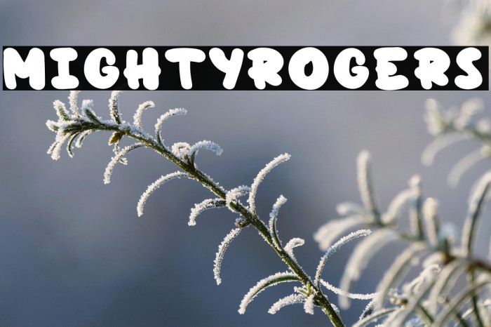 MightyRogers Example 3