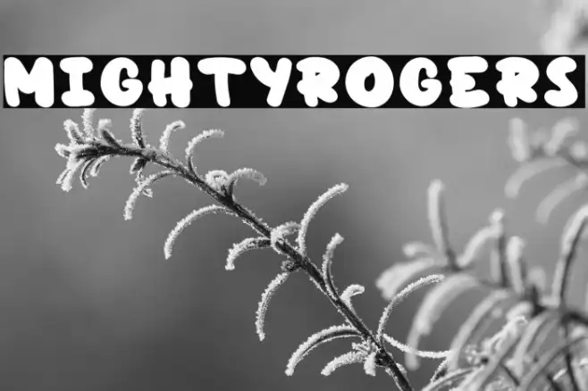 MightyRogers Example 3