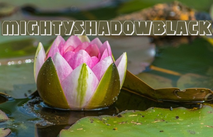 MightyShadowBlack Font examples