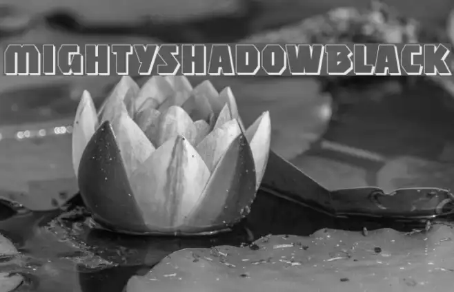 MightyShadowBlack Example 2
